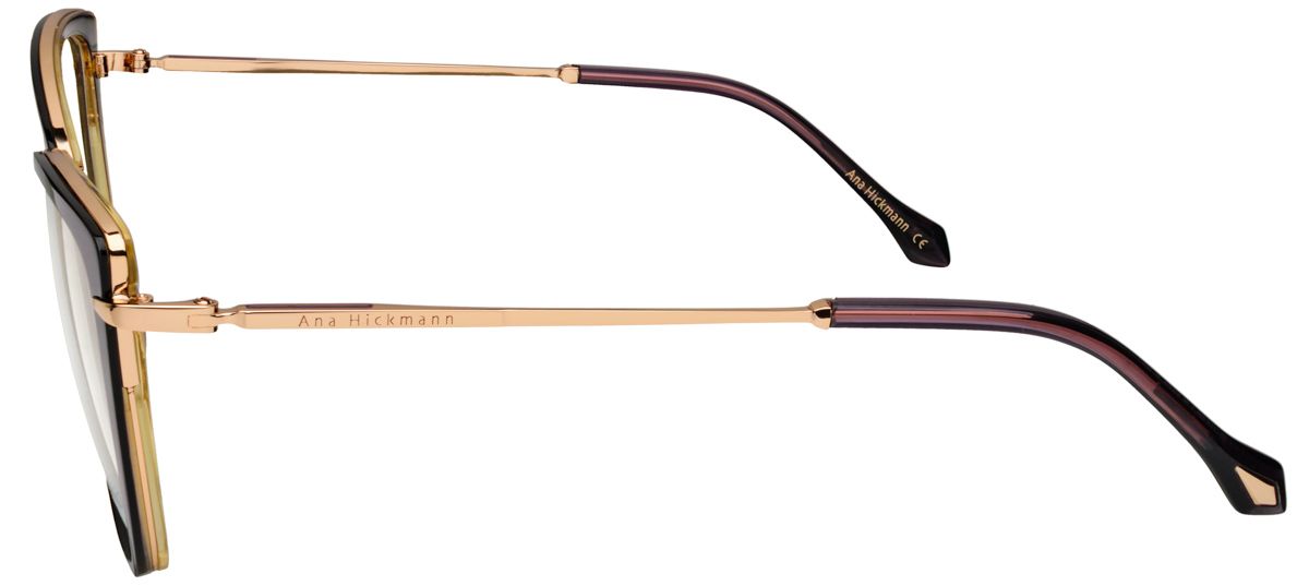 Ana Hickmann 1423 H03