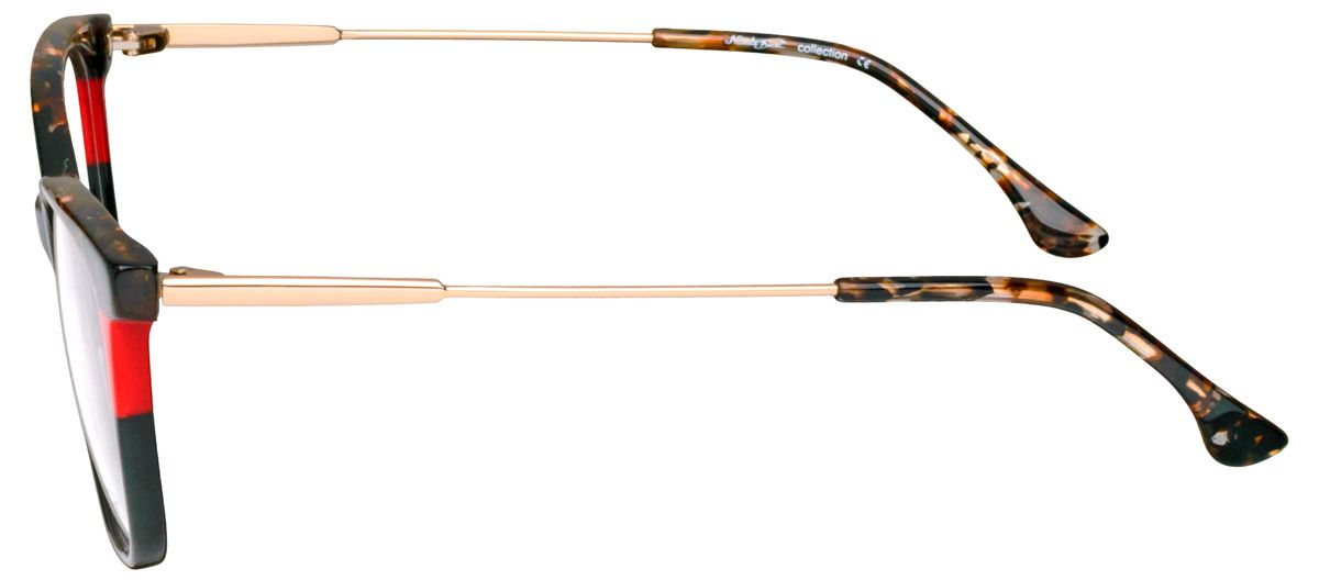 Nicoleta Buchi 808 1