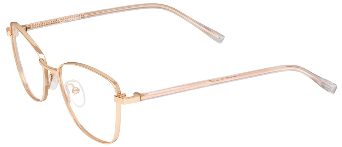 Culturavision A DS/S21 2